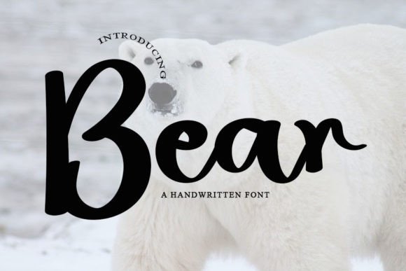 Bear: A Script Amp Review