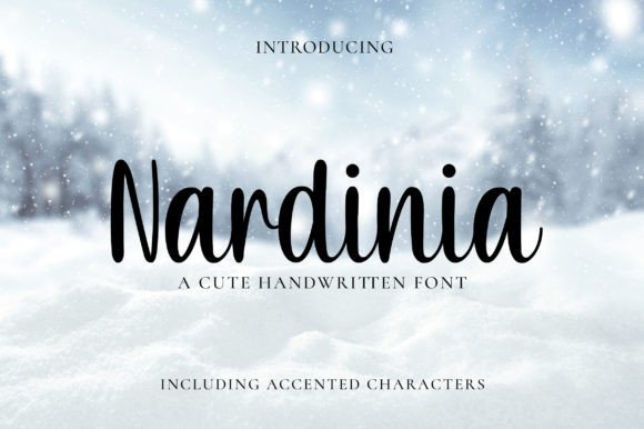 Nardinia: A Handwritten Font for Business