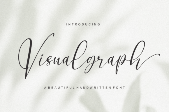 Visualgraph: A Stylish Font for Web Design